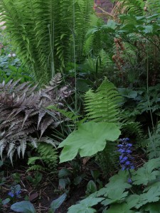 Zenegroen en tafelblad