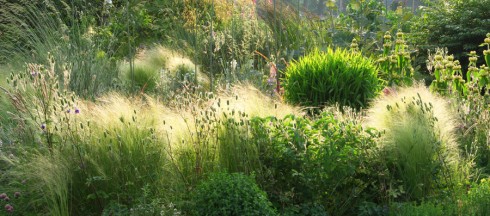 Stipa's