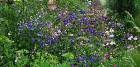 tuin eind mei_9